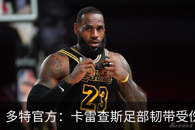 多特官方：卡雷查斯足部韧带受伤，将缺席本轮欧冠和周末联赛