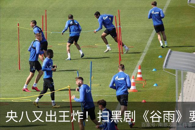 央八又出王炸！扫黑剧《谷雨》要来了