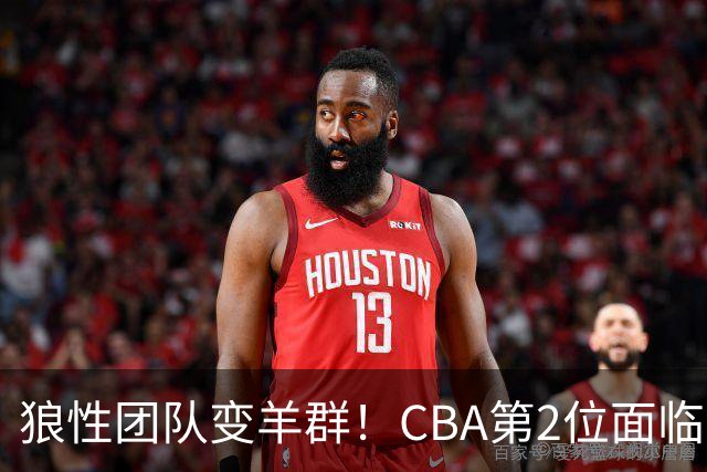狼性团队变羊群！CBA第2位面临下课主帅曝光，发布会怒喷70%球员不在线，却说自己问心无愧！评论区一边倒