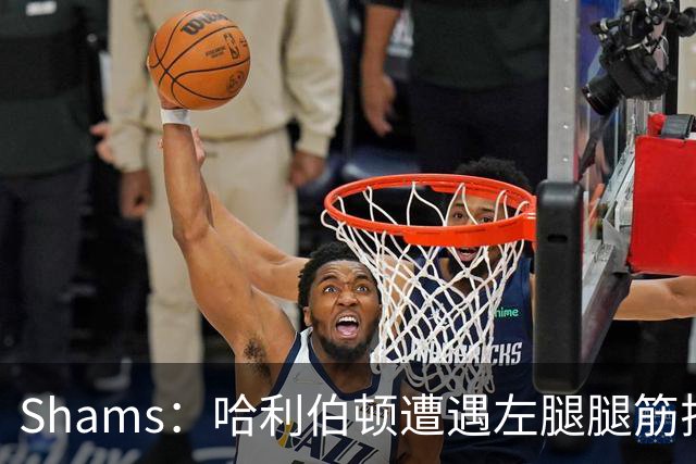 Shams：哈利伯顿遭遇左腿腿筋拉伤 将至少缺席两周